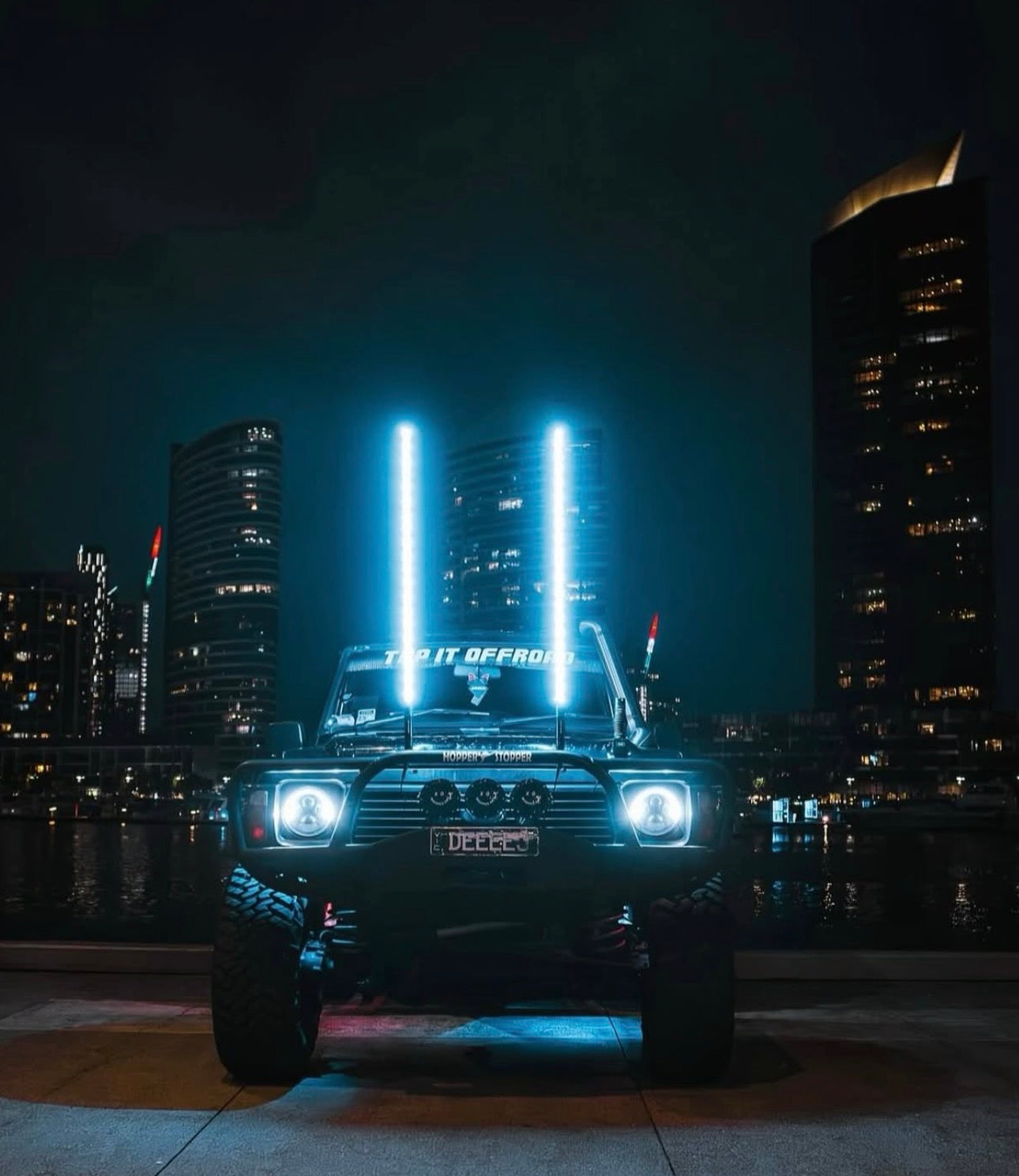 4Ft Flimsy Whip Light